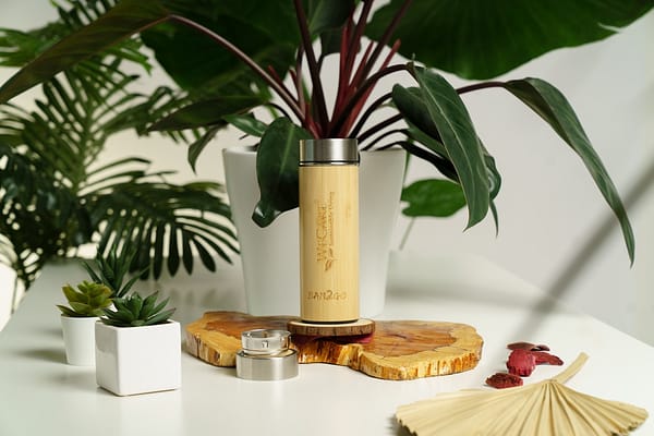 Eco-Friendly Elegance: Why Bamboo Products are a Sustainable Choice for the Environment