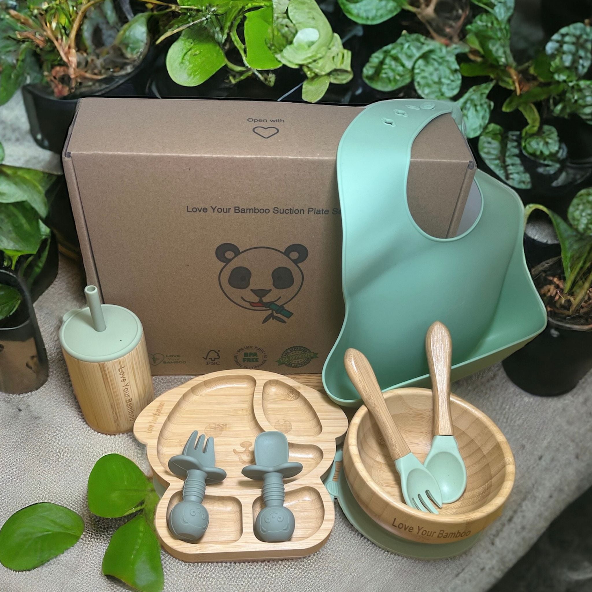 Bamboo Baby Suction Plate set